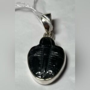 Trilobite fossil pendant